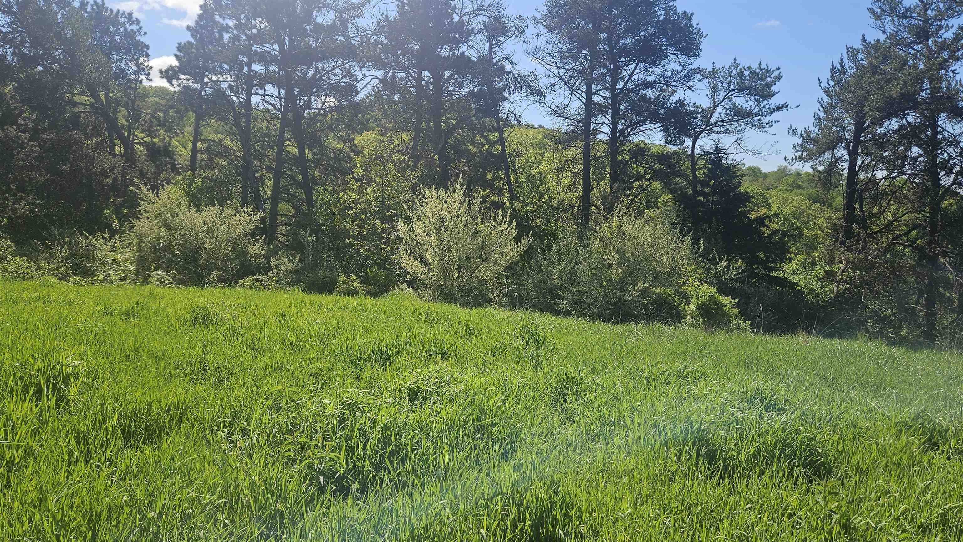 Elroy, WI 53929,55+/- A County Hwy W