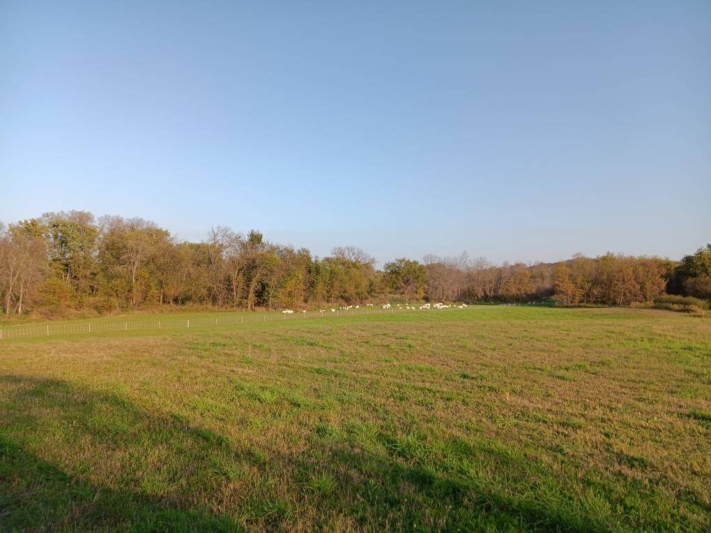 Richland Center, WI 53581,000 Hwy 80 S