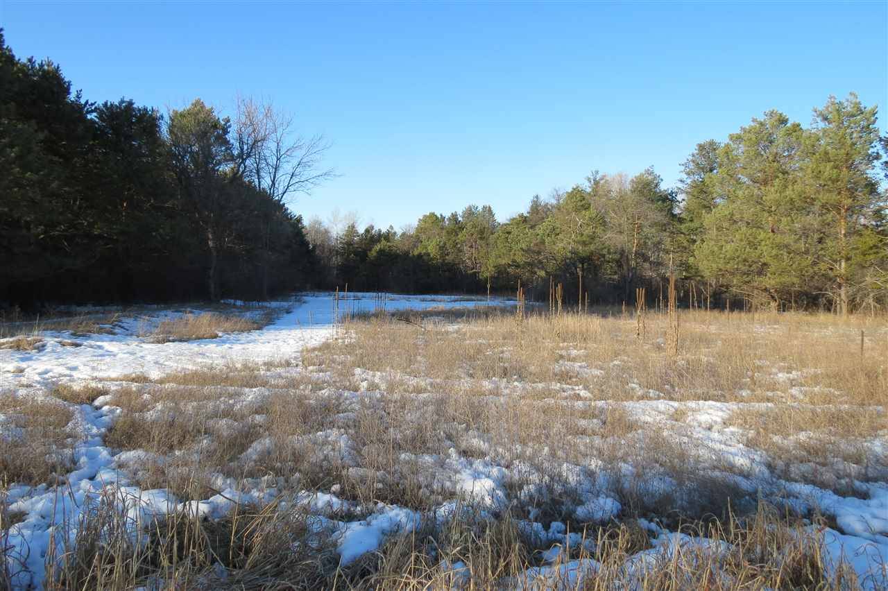 Wild Rose, WI 54984,30 Ac COUNTY ROAD A