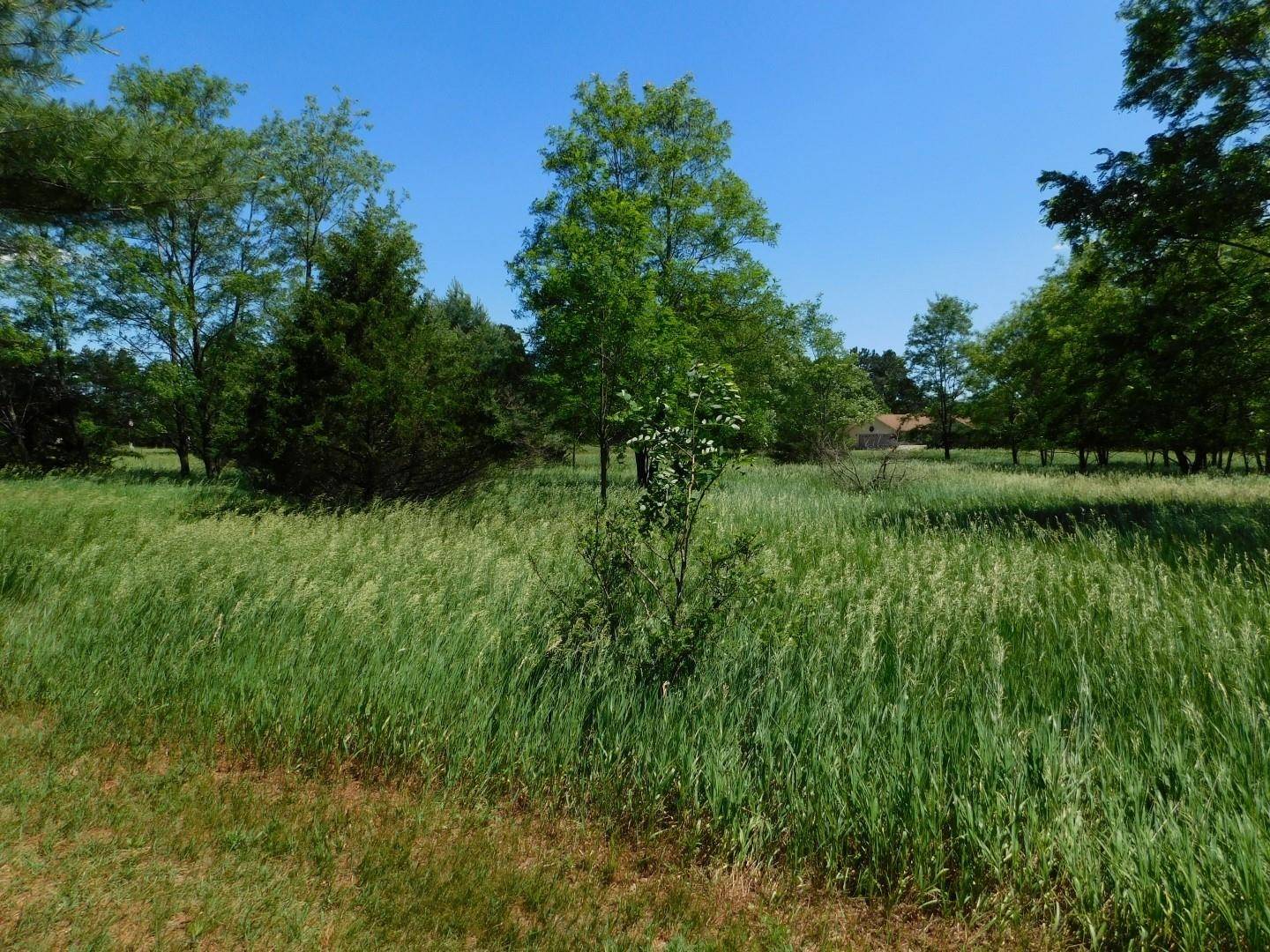 Montello, WI 53949,PEACOCK Lane