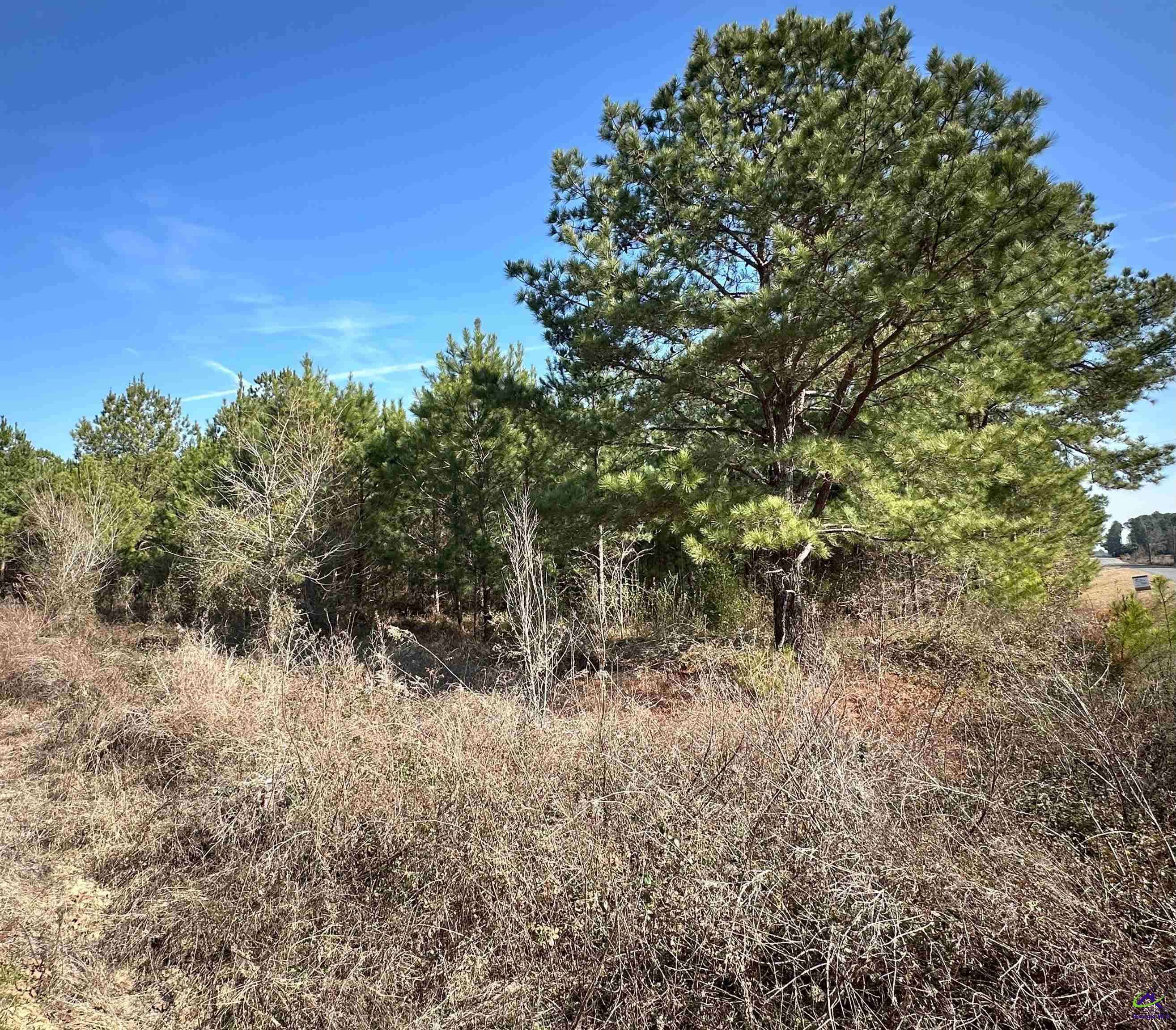Pineview, GA 31071,0 MT PLEASANT CHURCH Road