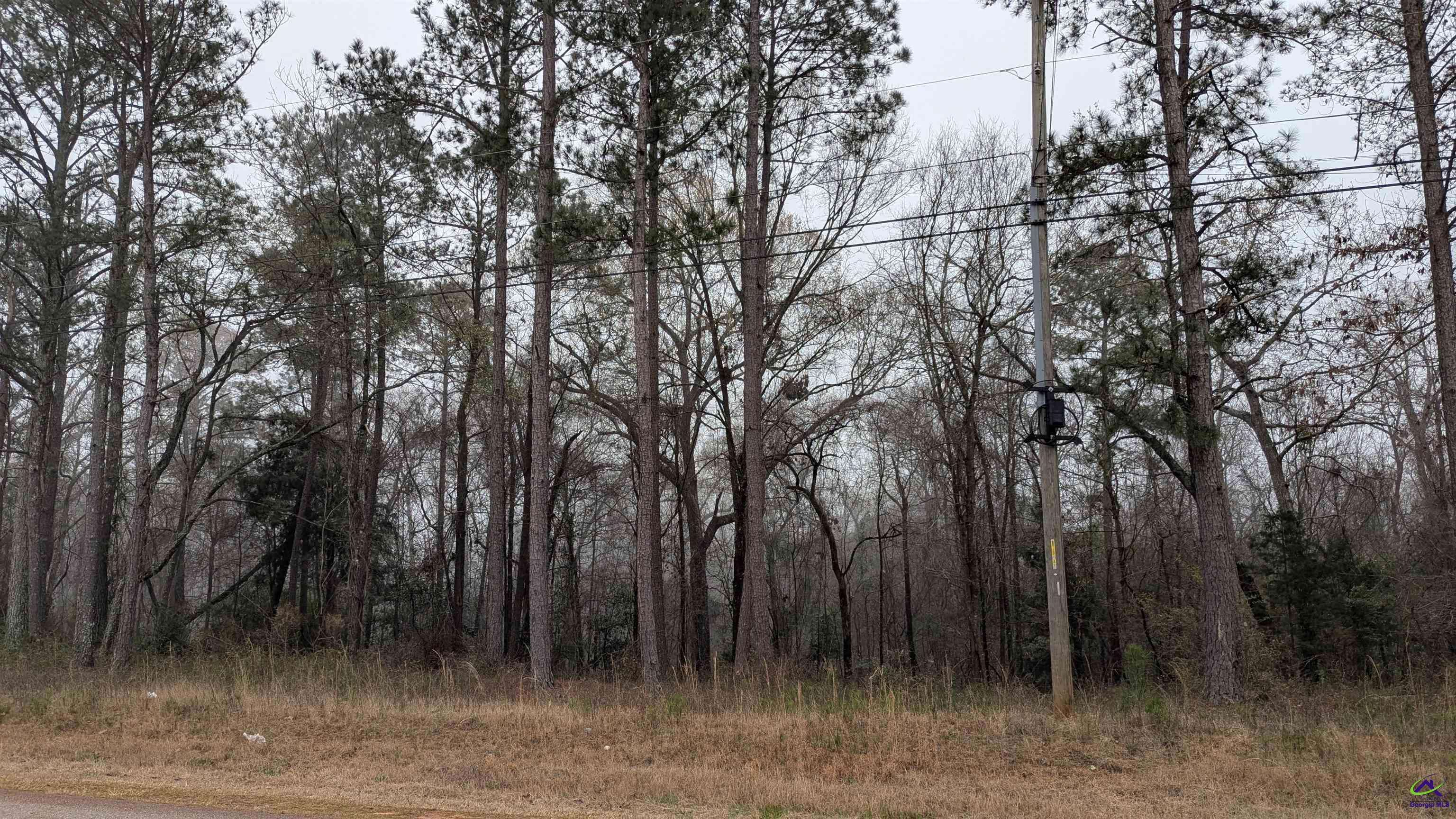 Fort Valley, GA 31030,865 Chestnut Hill Road