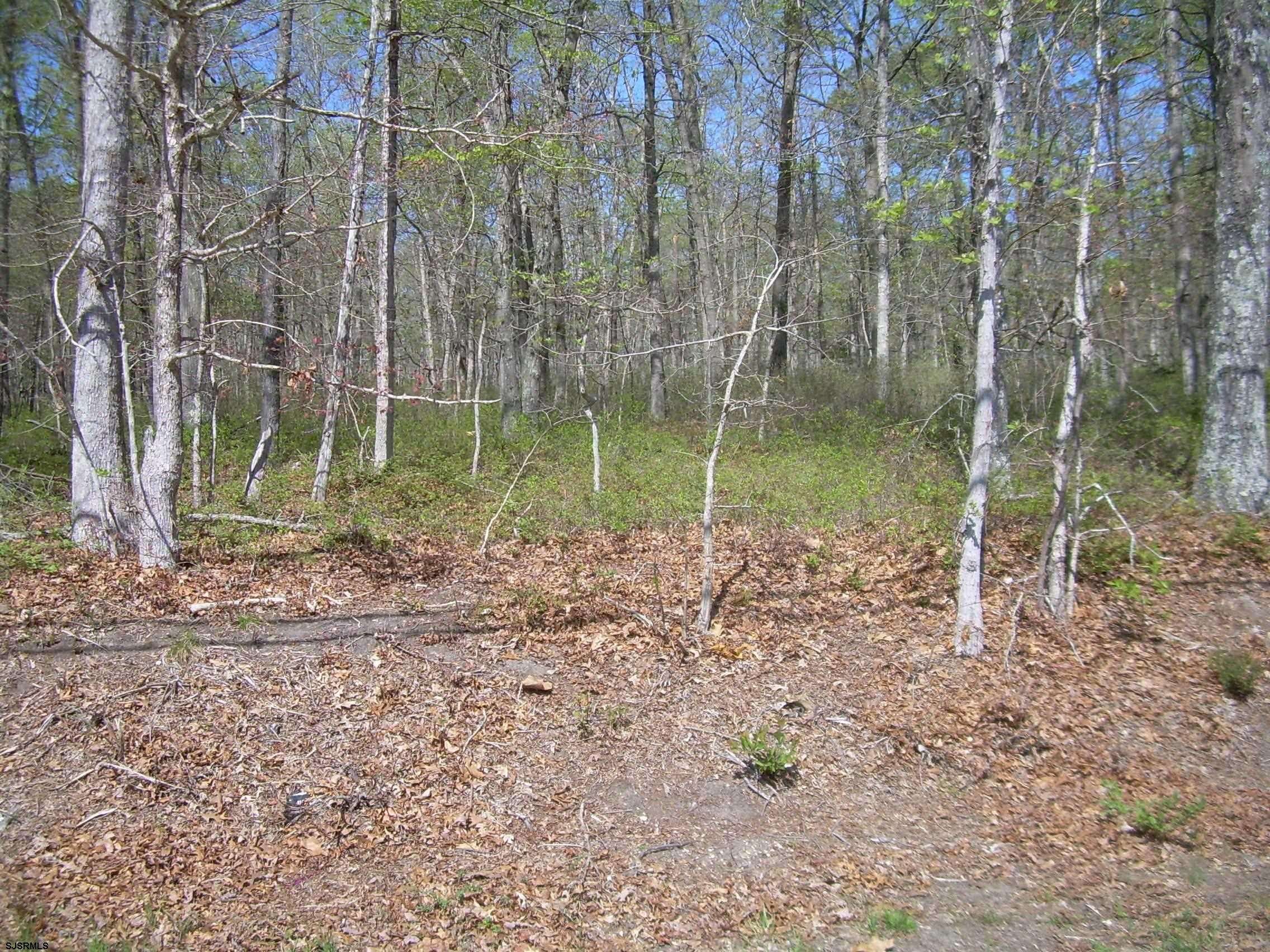 Buena Vista Township, NJ 08310,HARDING WHY 000