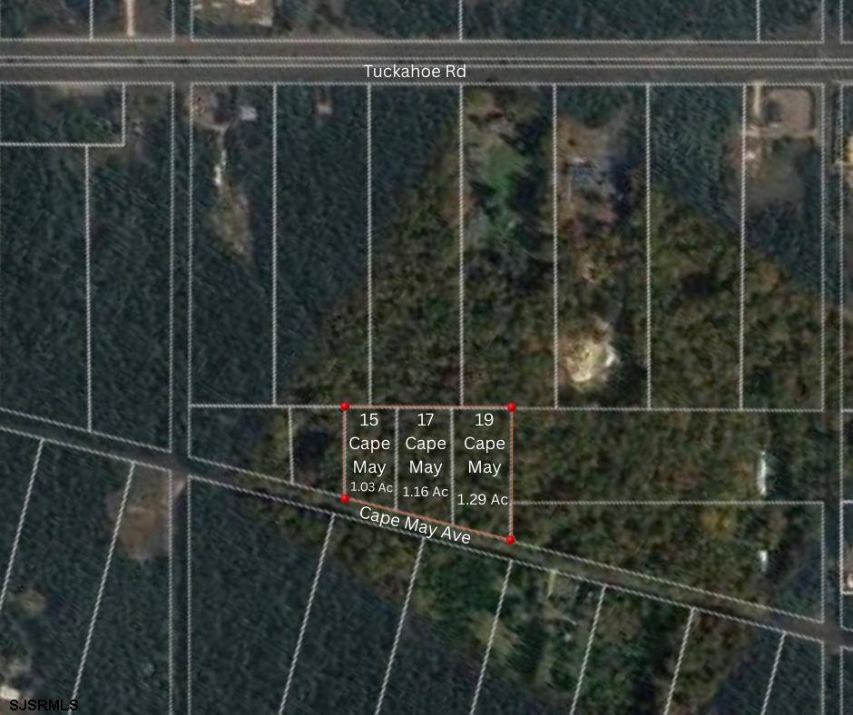 Dorothy, NJ 08317,15, 17, & 19 Cape May Ave