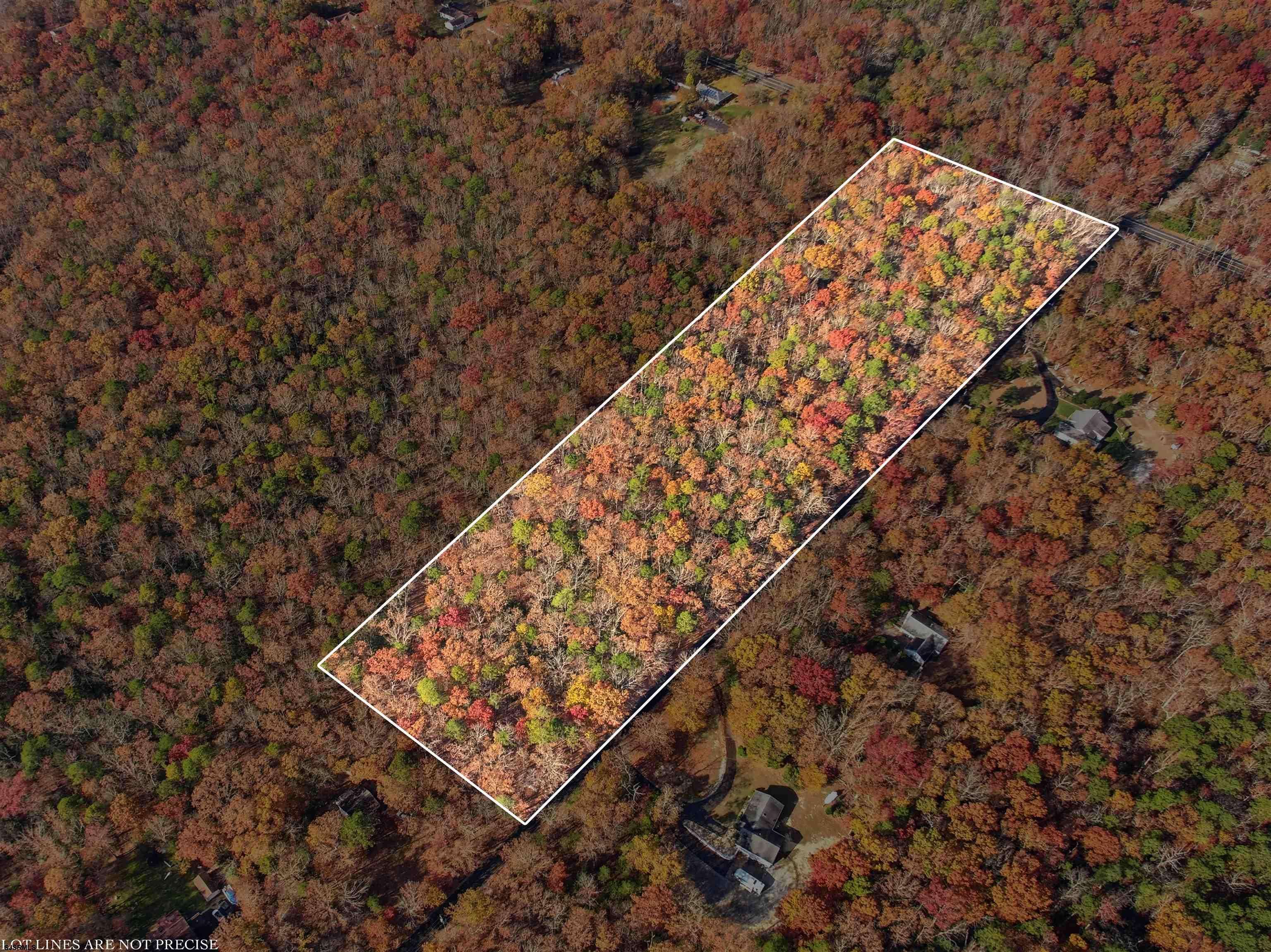 Mays Landing, NJ 08330,Rt 50 and Cedar