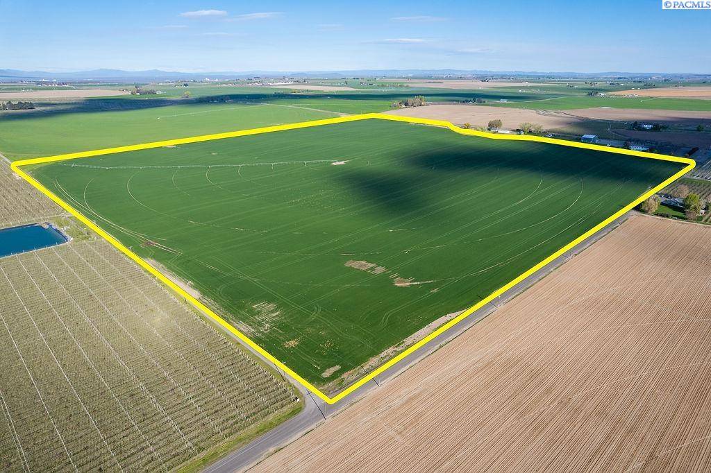 Pasco, WA 99301,NKA Dogwood