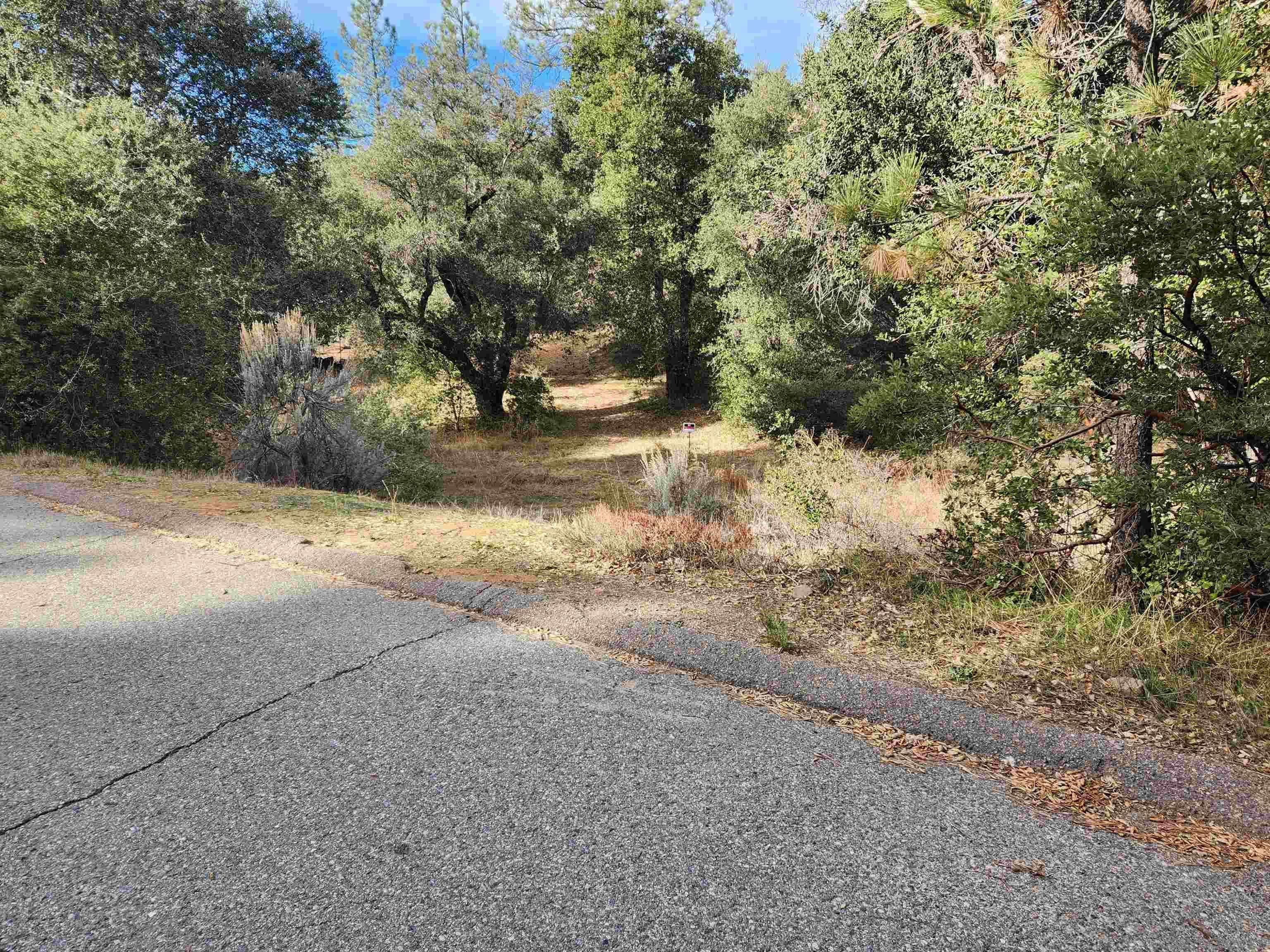 Pine Valley, CA 91962,7524 Corte Madera Road #/77