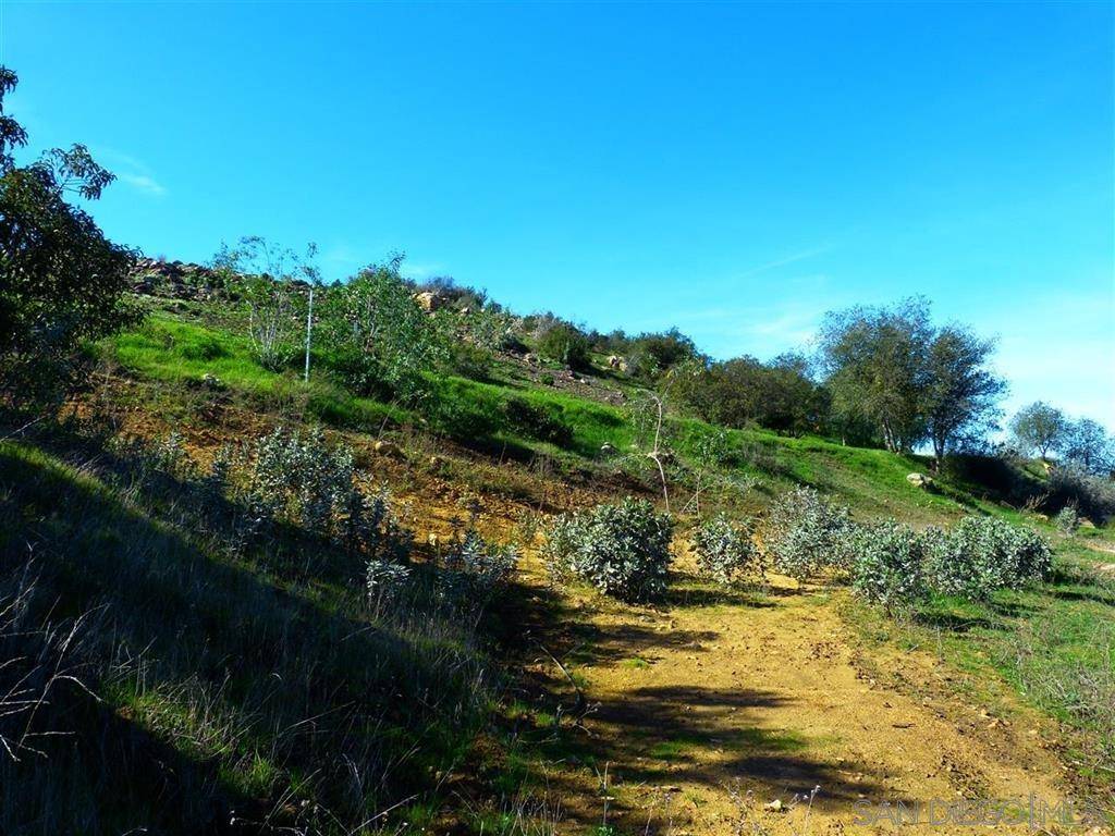 Valley Center, CA 92082,000 Ridge Canyon Rd #Parcel 2