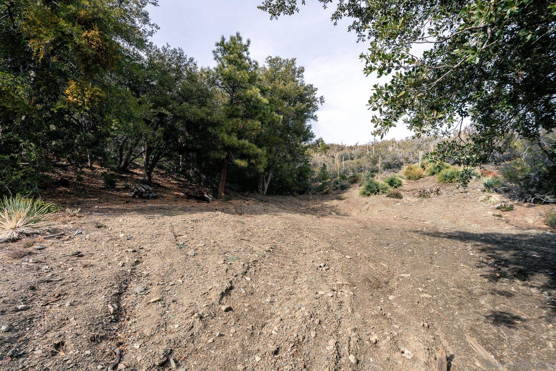 Wrightwood, CA 93544,0 Timberline Dr #0
