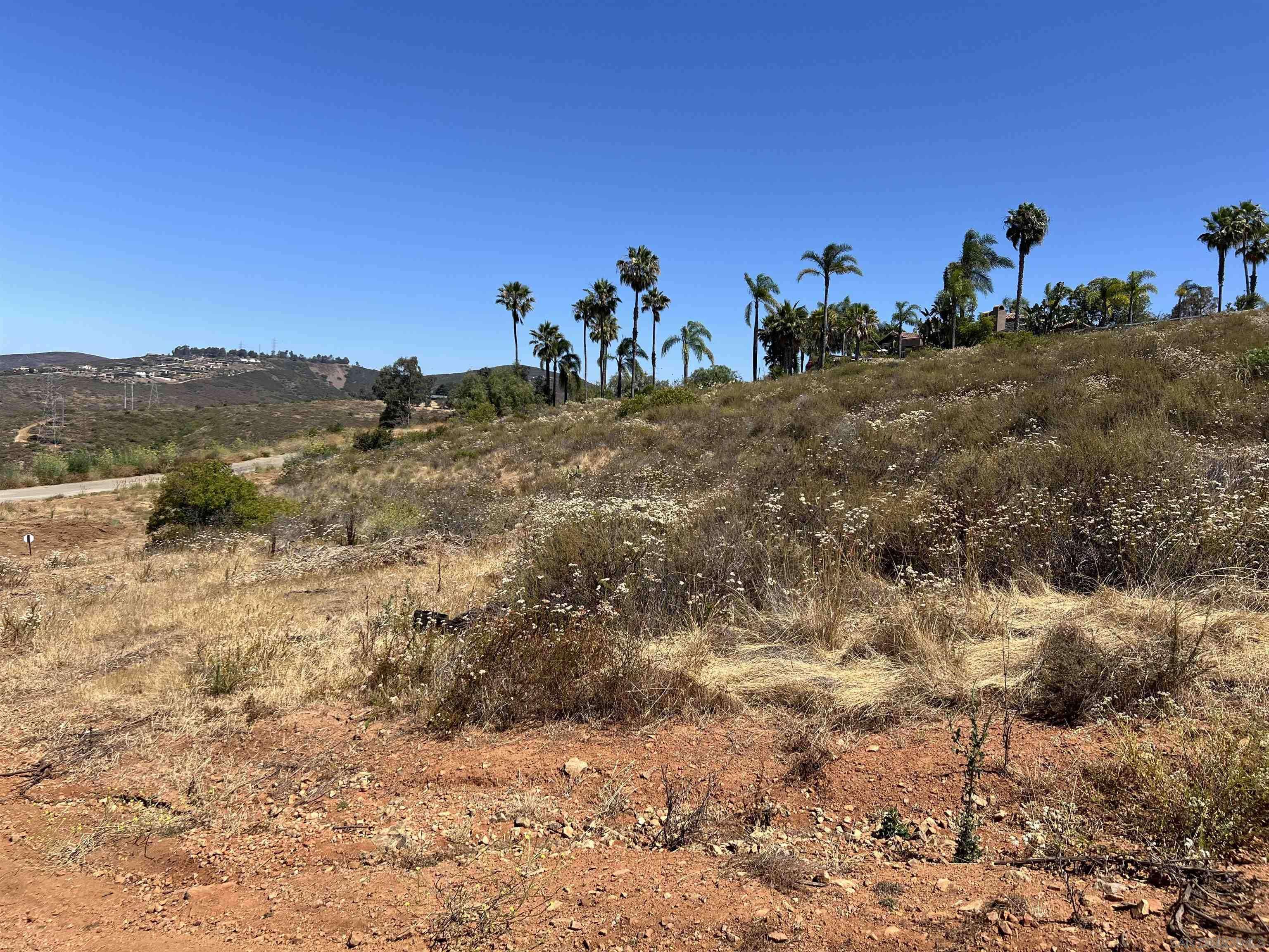 Rancho Santa Fe, CA 92067,000 Fortuna Del Este #17