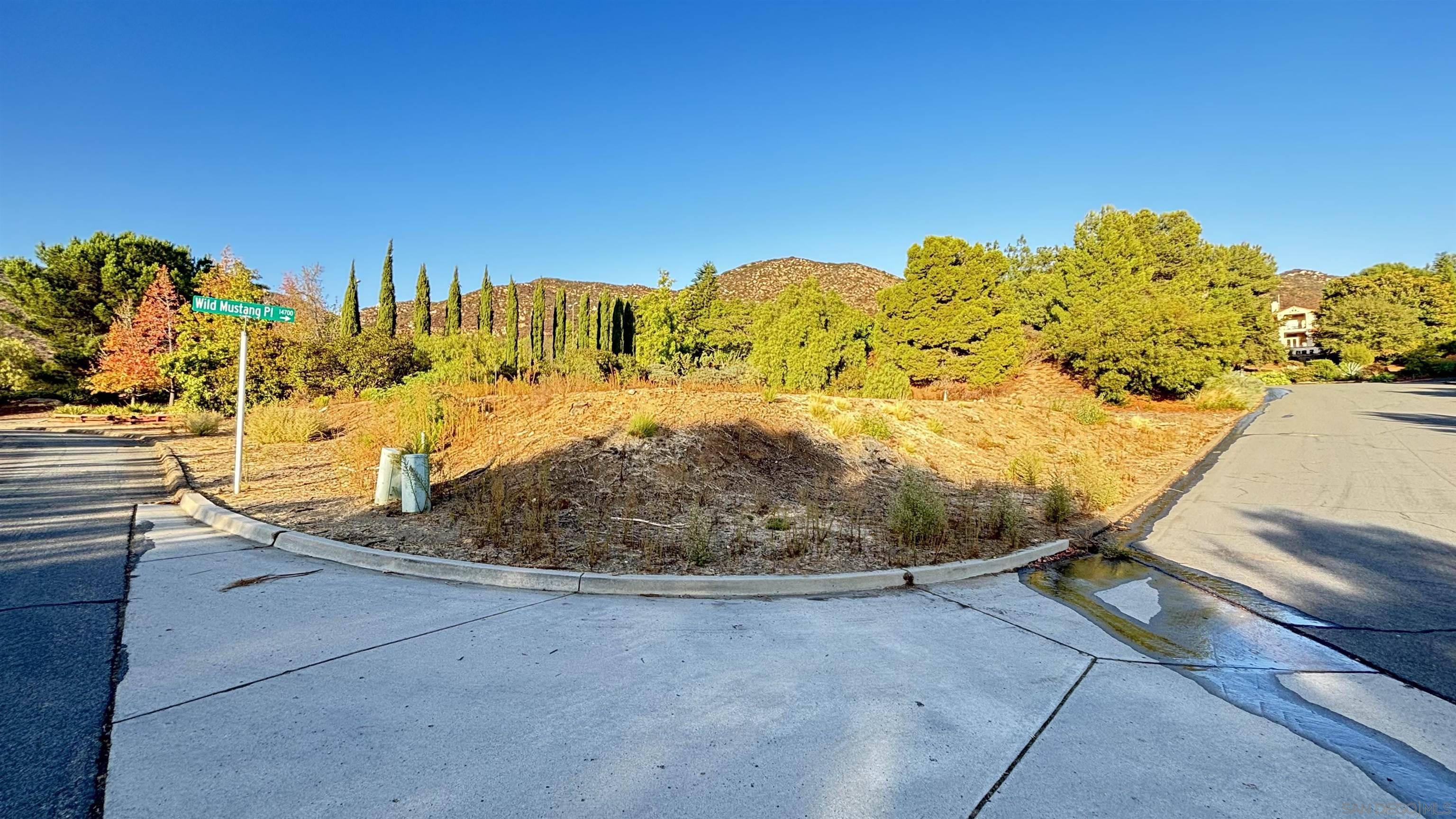 Jamul, CA 91935,00 Wild Mustang PL. #1