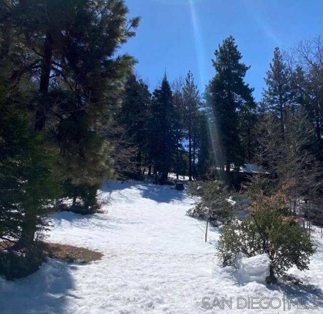 Pine Cove Idyllwild, CA 92549,0 Laurel Trail Lot #7