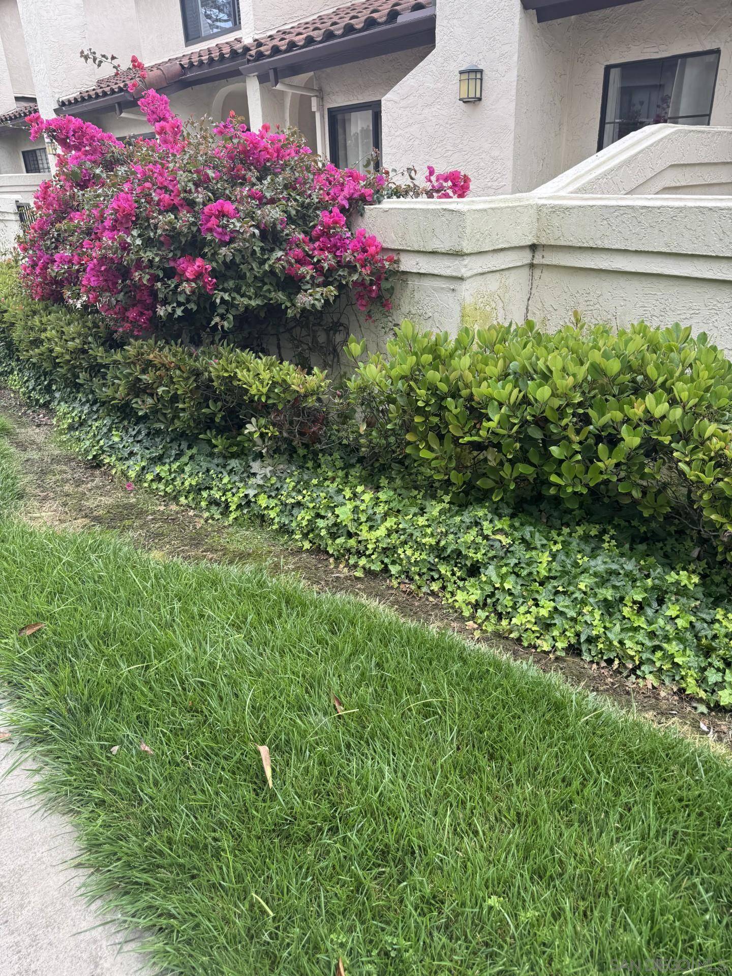 San Diego, CA 92122,4130 Porte de Palmas #8