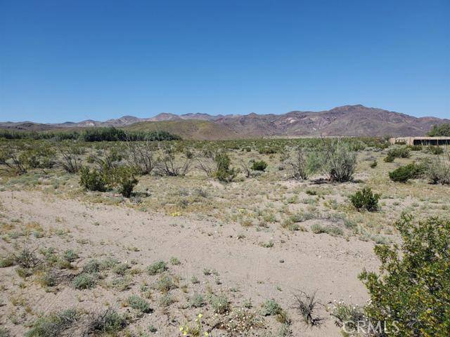 Newberry Springs, CA 92365,0 Autumn Leaf