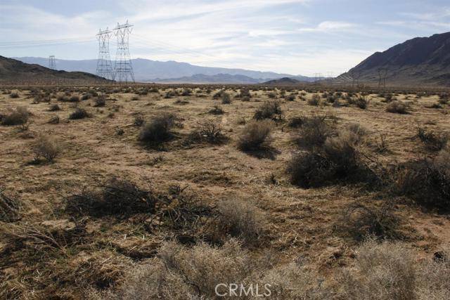 Lucerne Valley, CA 92356,0 Fern