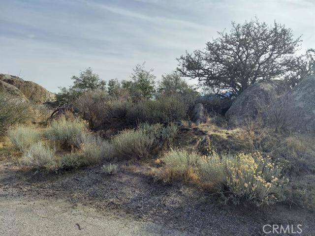 Tehachapi, CA 93561,0 Amberwood