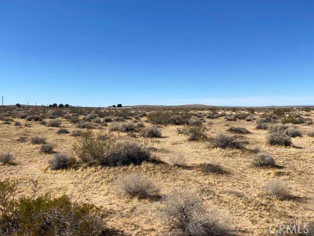 Hinkley, CA 92347,0 Flower