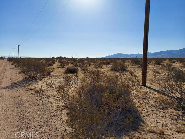 Newberry Springs, CA 92365,1 Coventry