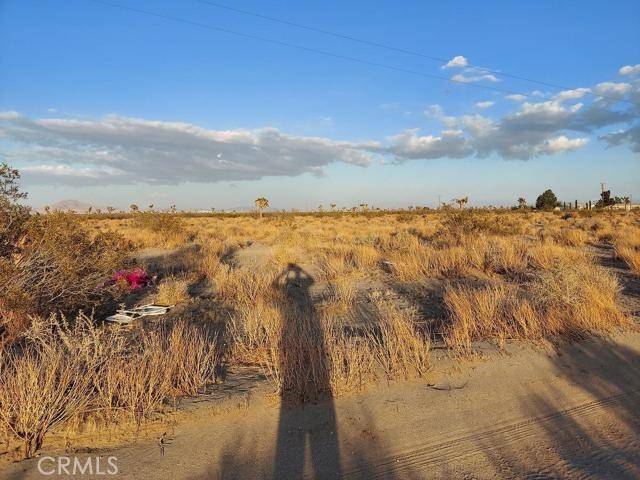 El Mirage, CA 92301,19101 Karst