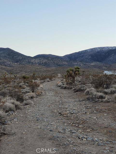 Lucerne Valley, CA 92356,0 Beech