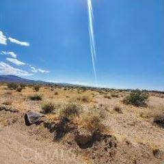 Newberry Springs, CA 92365,0 Hereford