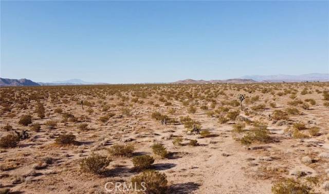 Joshua Tree, CA 92252,0 Border