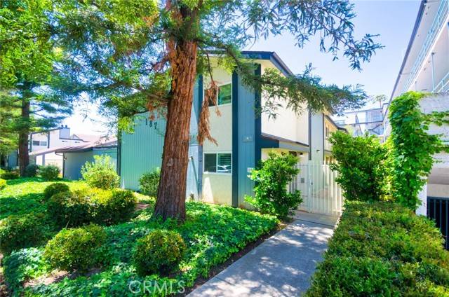 Pasadena, CA 91106,187 S Catalina Avenue #1
