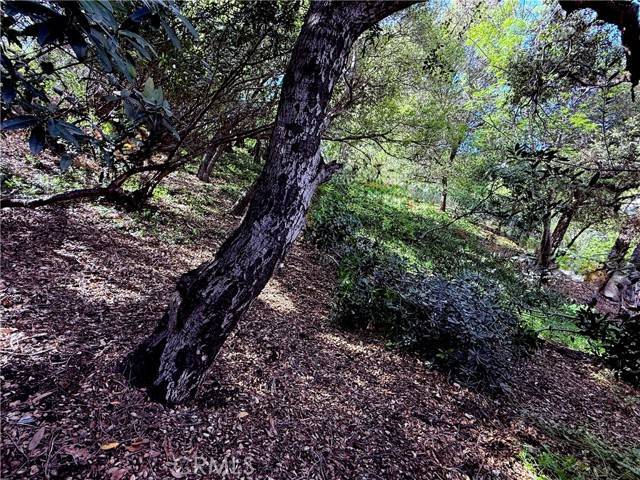 Studio City, CA 91604,11472 Laurelcrest dr