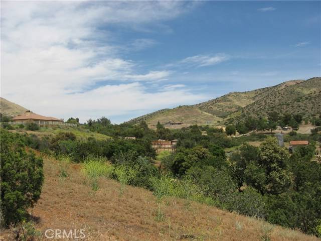 Agua Dulce, CA 91350,0 Vac/Johnnie Dr/Vic Maoler