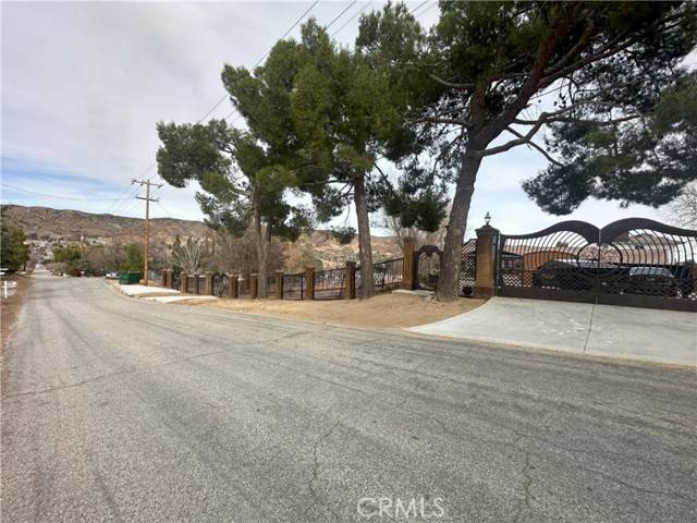 Leona Valley, CA 93551,39954 90th Street