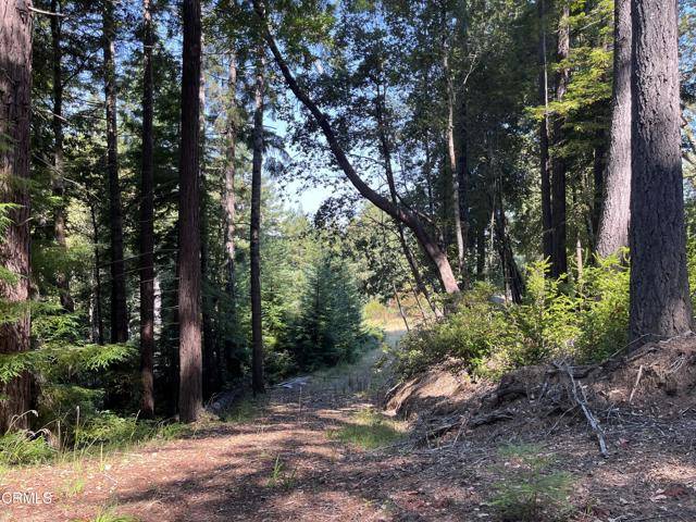 Comptche, CA 95427,7701 Flynn Creek