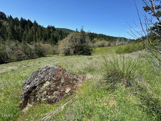 Willits, CA 95490,29300 Pinecrest