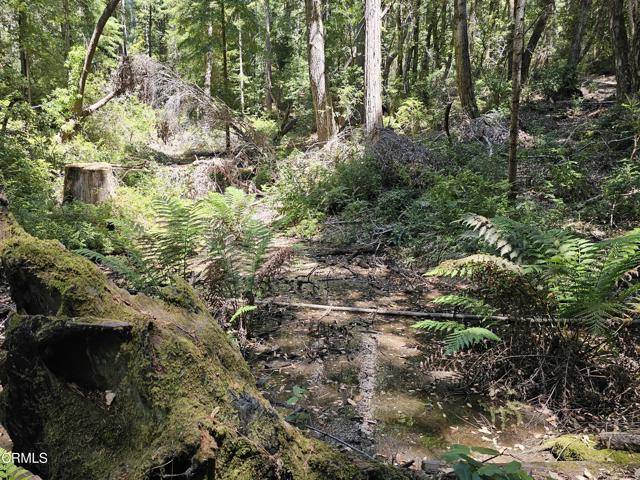 Westport, CA 95488,54641 CA-1