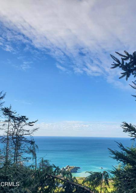Westport, CA 95488,37995 CA-1