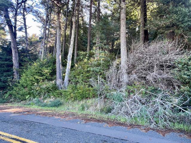 Manchester, CA 95459,15301 Forest View