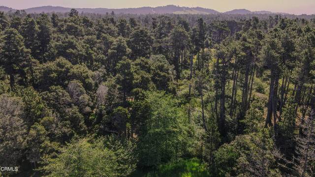 Fort Bragg, CA 95437,23401 Highway 1