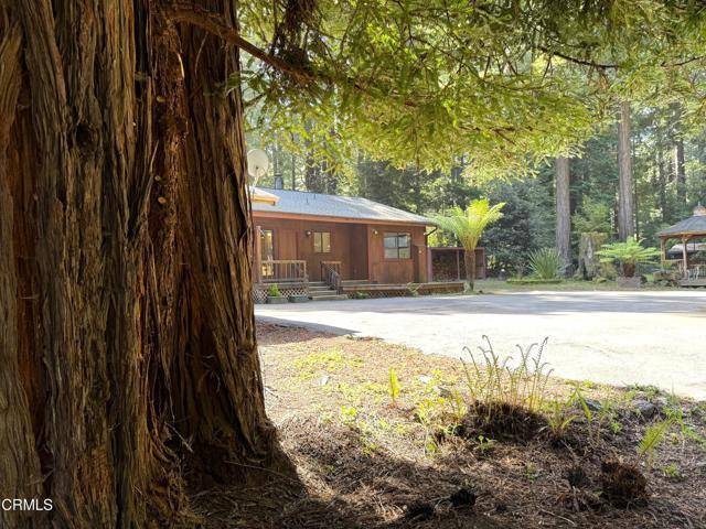 Mendocino, CA 95460,12141 Pinewood Road