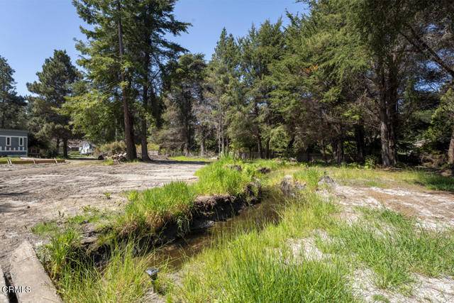 Fort Bragg, CA 95437,32625 Happy