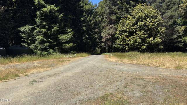Fort Bragg, CA 95437,31950 Norma