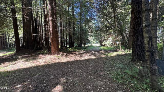 Fort Bragg, CA 95437,31950 Norma