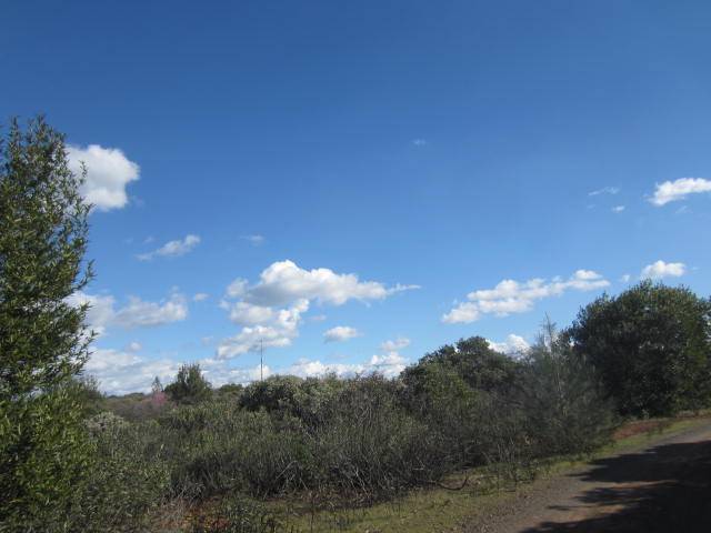 Chico, CA 95928,0 Sky