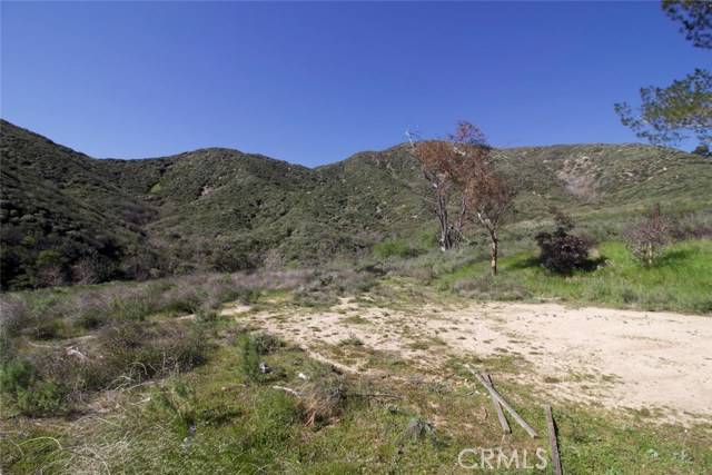 Devore, CA 92407,2210 Bailey Canyon