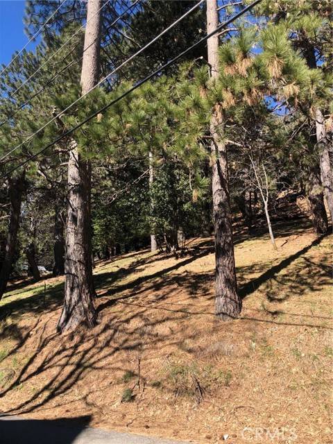 Cedarpines Park, CA 92322,21750 Sawpit Canyon