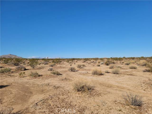 Joshua Tree, CA 92252,0 Highland View