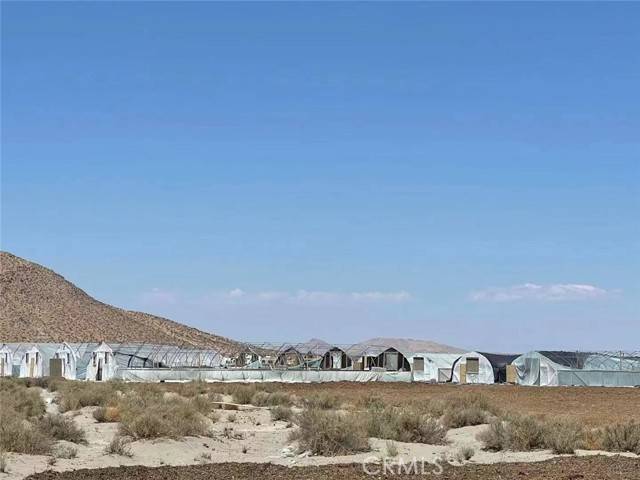 El Mirage, CA 92301,0 Chamisal