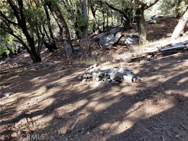 Cedarpines Park, CA 92322,1 Burnt Mill Canyon