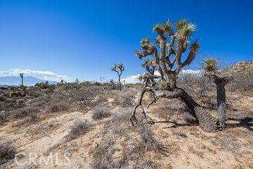 Yucca Valley, CA 92284,53677 San Jacinto