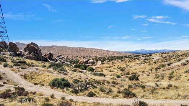 Apple Valley, CA 92307,0 Coxey