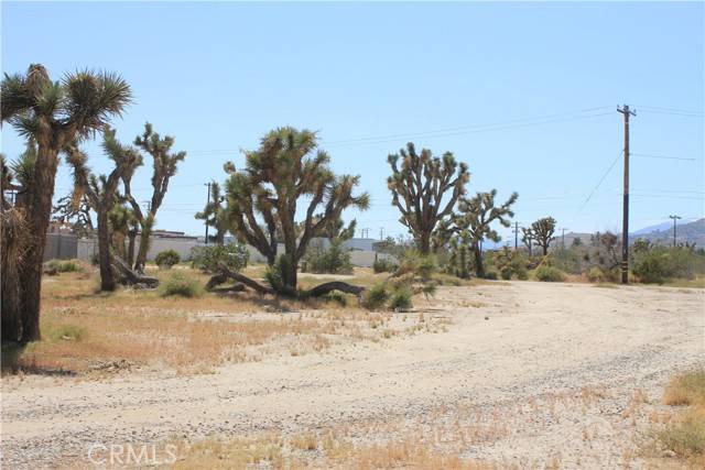 Yucca Valley, CA 92284,0 Scarvan