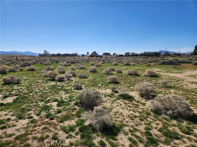 Newberry Springs, CA 92365,0 Yucca Rd